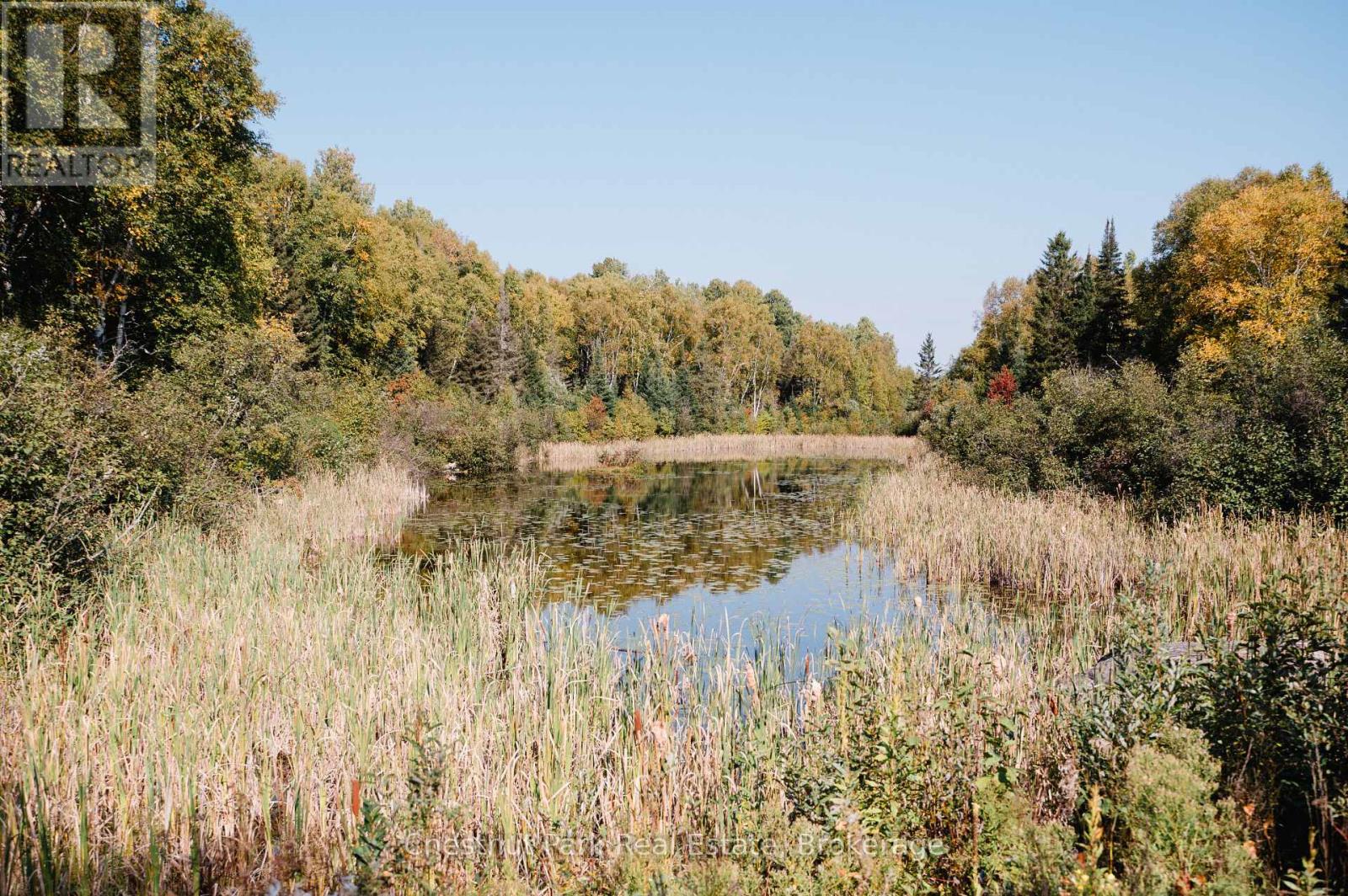 445 Fox Run, Temagami, Ontario  P0H 2H0 - Photo 18 - X12437757