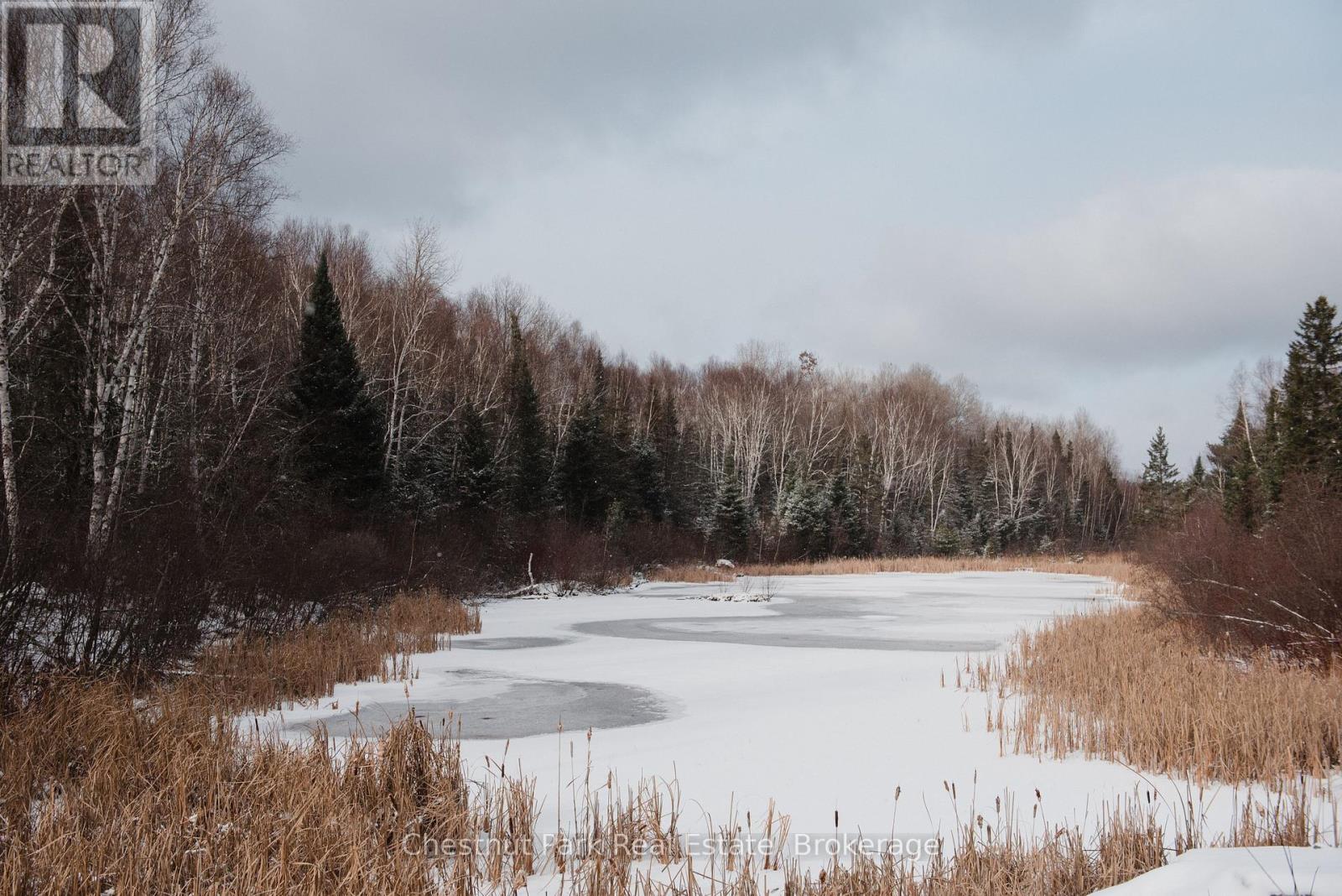 445 Fox Run, Temagami, Ontario  P0H 2H0 - Photo 2 - X12437757