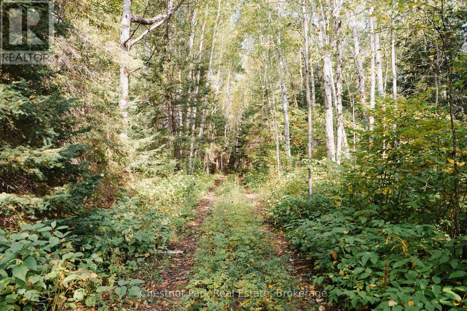 445 Fox Run, Temagami, Ontario  P0H 2H0 - Photo 15 - X12437757