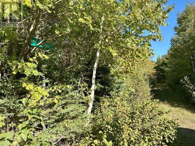 Lot 26 Light House Lane, Launching, Prince Edward Island  C0A 1G0 - Photo 17 - 202524776