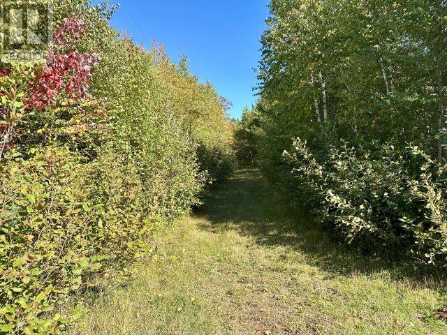 Lot 26 Light House Lane, Launching, Prince Edward Island  C0A 1G0 - Photo 18 - 202524776