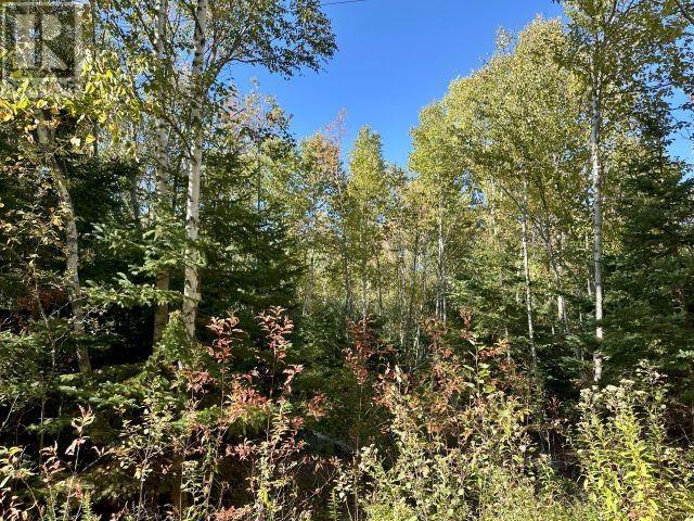 Lot 26 Light House Lane, Launching, Prince Edward Island  C0A 1G0 - Photo 19 - 202524776
