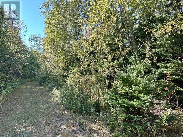 Lot 26 Light House Lane, Launching, Prince Edward Island  C0A 1G0 - Photo 20 - 202524776
