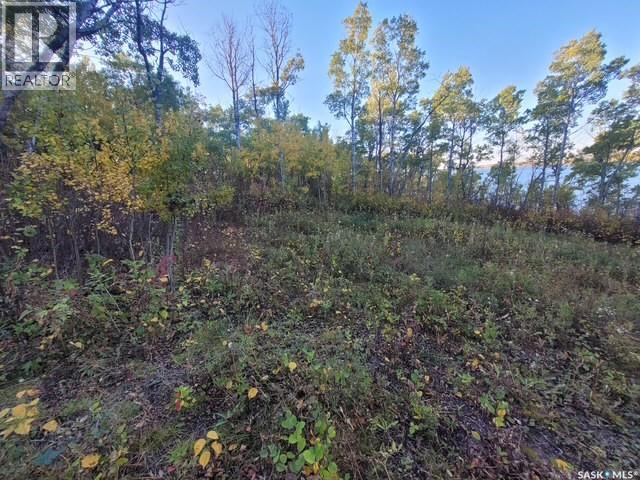 15 Bessette Lane, Wakaw Lake, Saskatchewan  S0K 4P0 - Photo 13 - SK019780