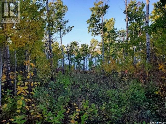 15 Bessette Lane, Wakaw Lake, Saskatchewan  S0K 4P0 - Photo 9 - SK019780