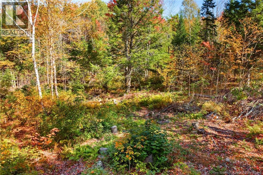 444 Route 628, Penniac, New Brunswick  E3A 6X6 - Photo 43 - NB127743