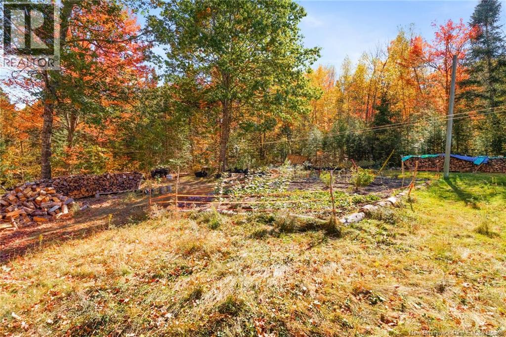 444 Route 628, Penniac, New Brunswick  E3A 6X6 - Photo 42 - NB127743
