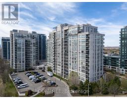 201 - 60 DISERA DRIVE