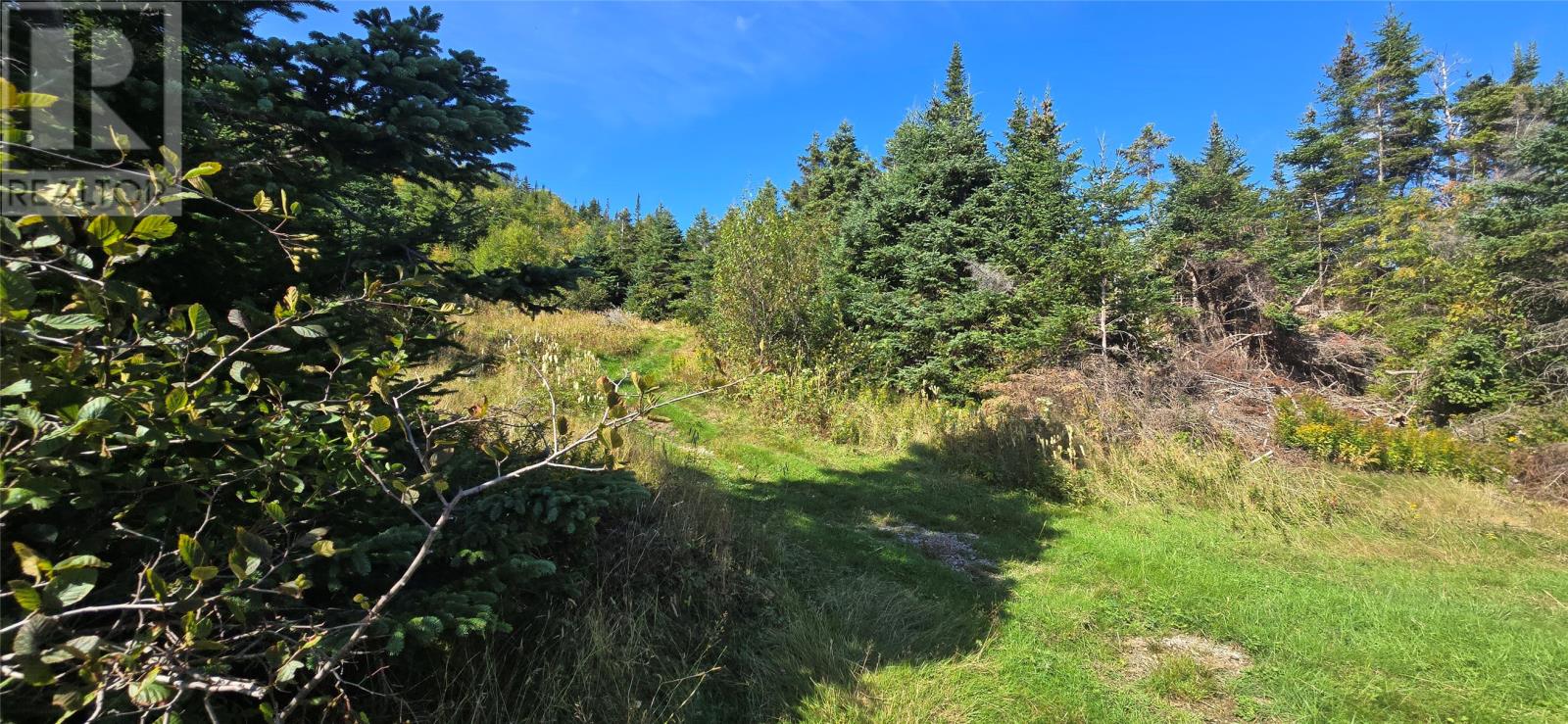 0 Fogharty's Road, Baine Hr, Newfoundland & Labrador  A0E 1A0 - Photo 10 - 1290973