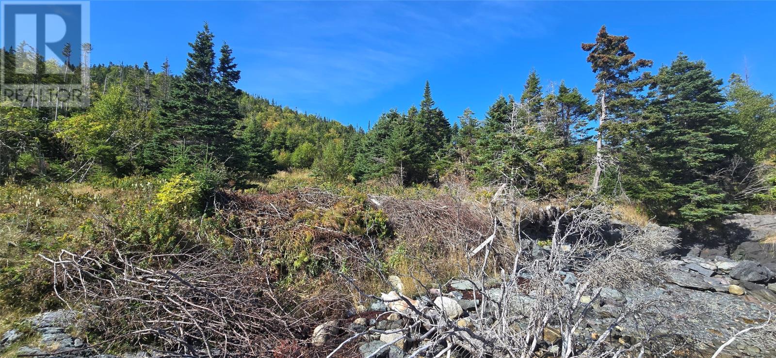0 Fogharty's Road, Baine Hr, Newfoundland & Labrador  A0E 1A0 - Photo 3 - 1290973