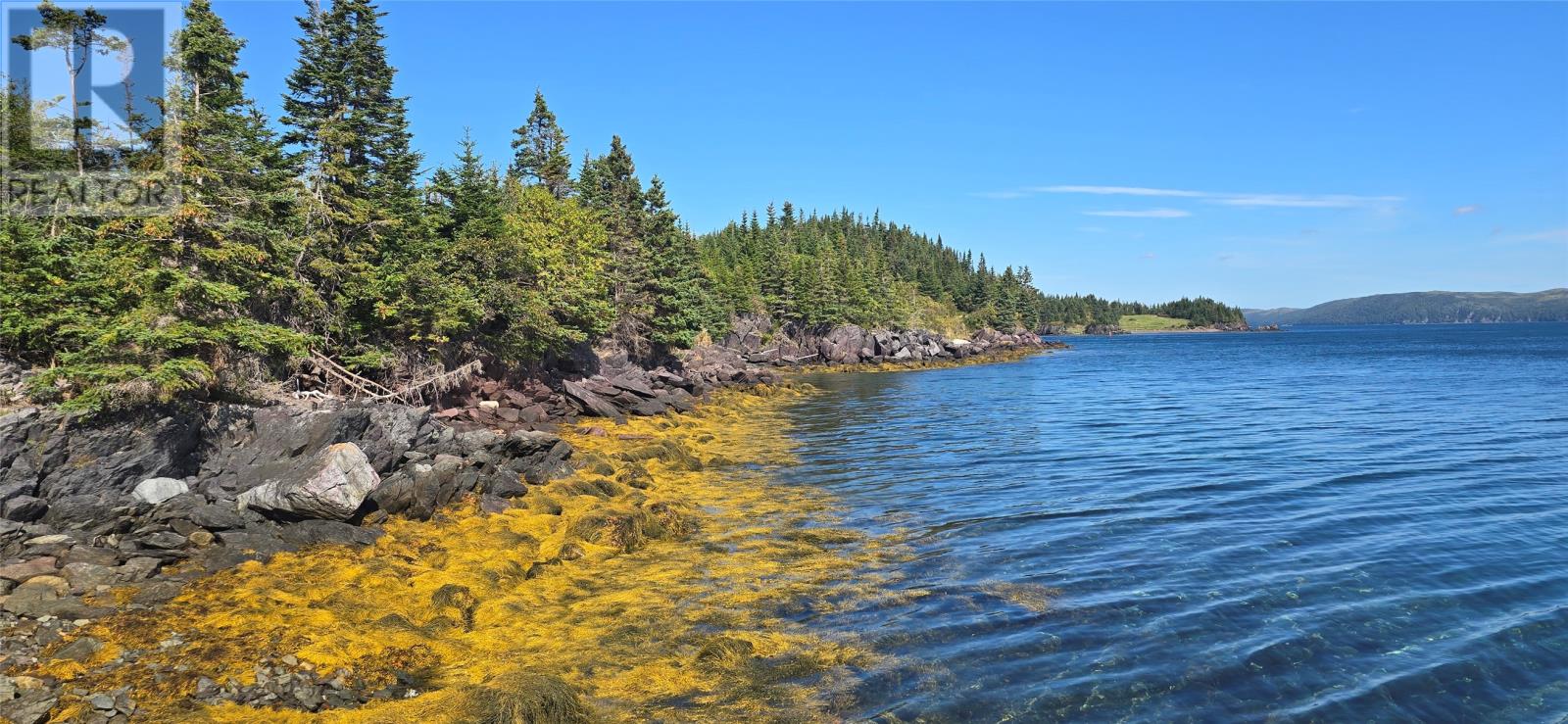 0 Fogharty's Road, Baine Hr, Newfoundland & Labrador  A0E 1A0 - Photo 6 - 1290973