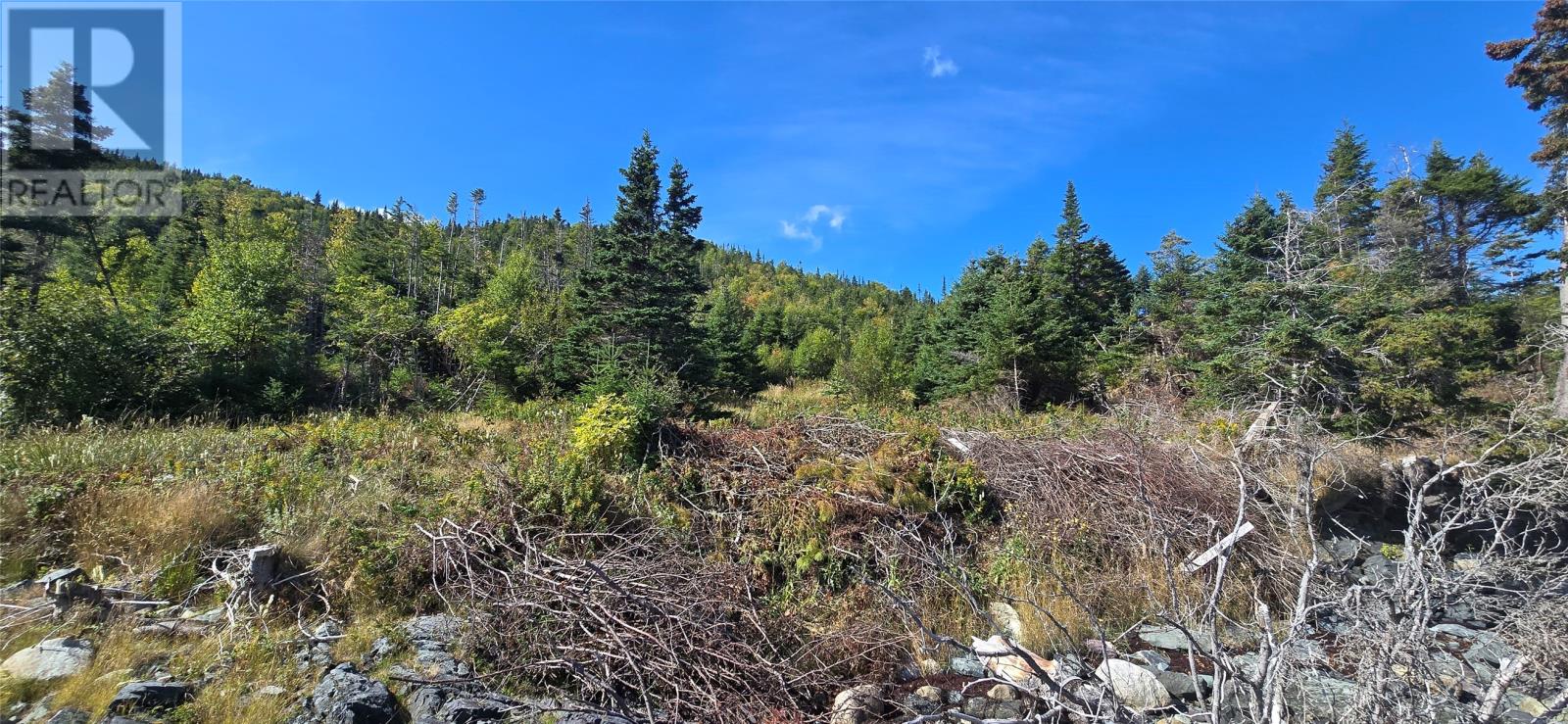 0 Fogharty's Road, Baine Hr, Newfoundland & Labrador  A0E 1A0 - Photo 7 - 1290973
