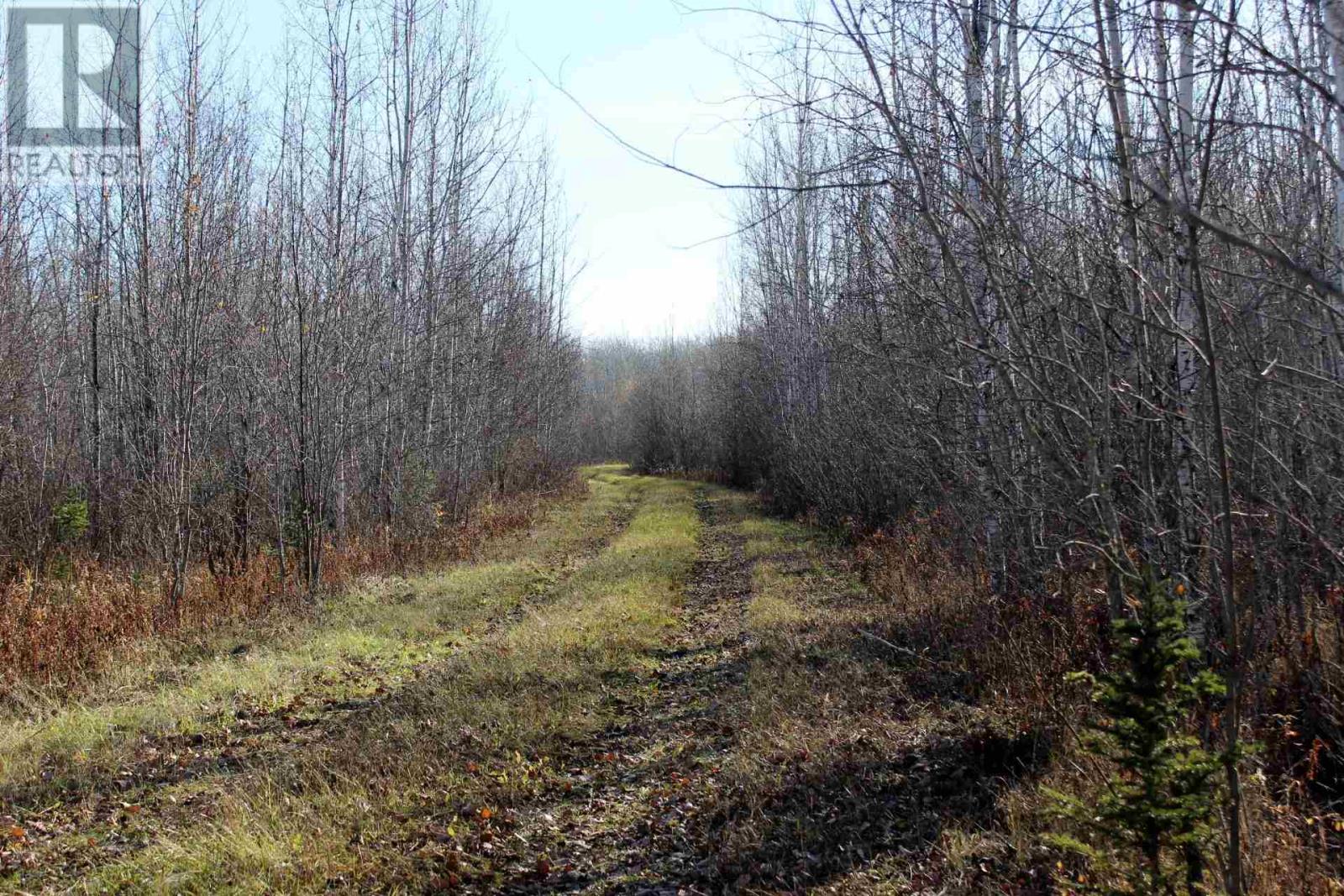 Pcl 14743 Hwy 600, Bergland, Ontario  P0W 1J0 - Photo 29 - TB252350