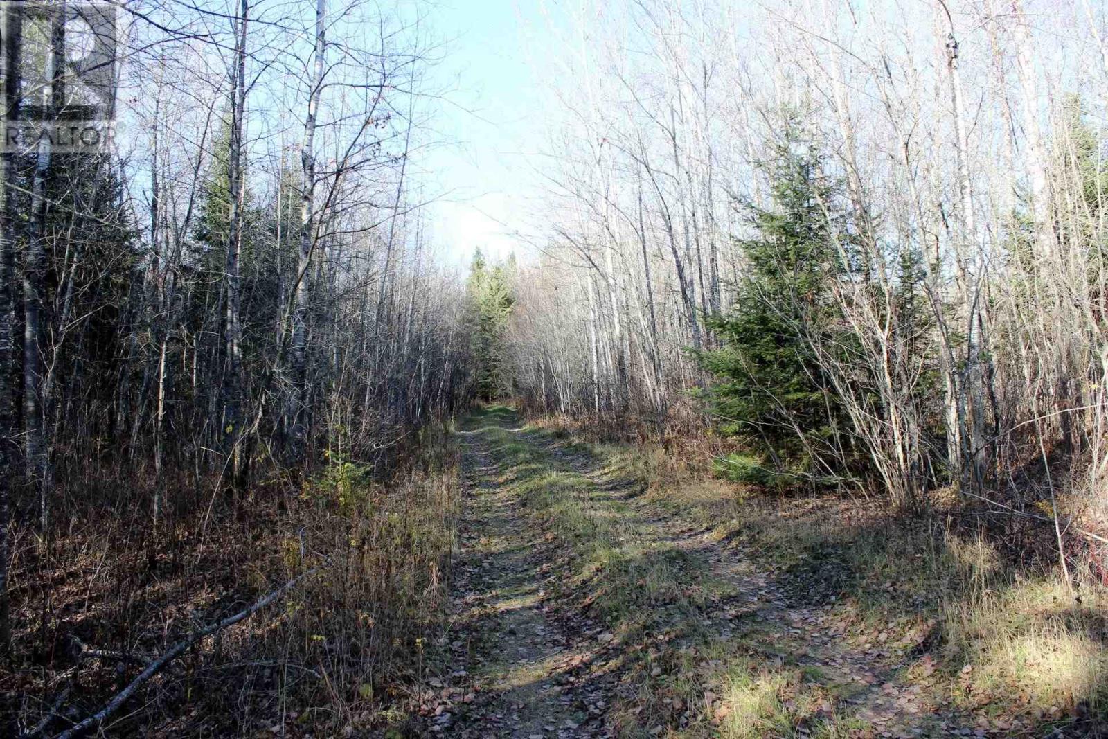 Pcl 14743 Hwy 600, Bergland, Ontario  P0W 1J0 - Photo 26 - TB252350