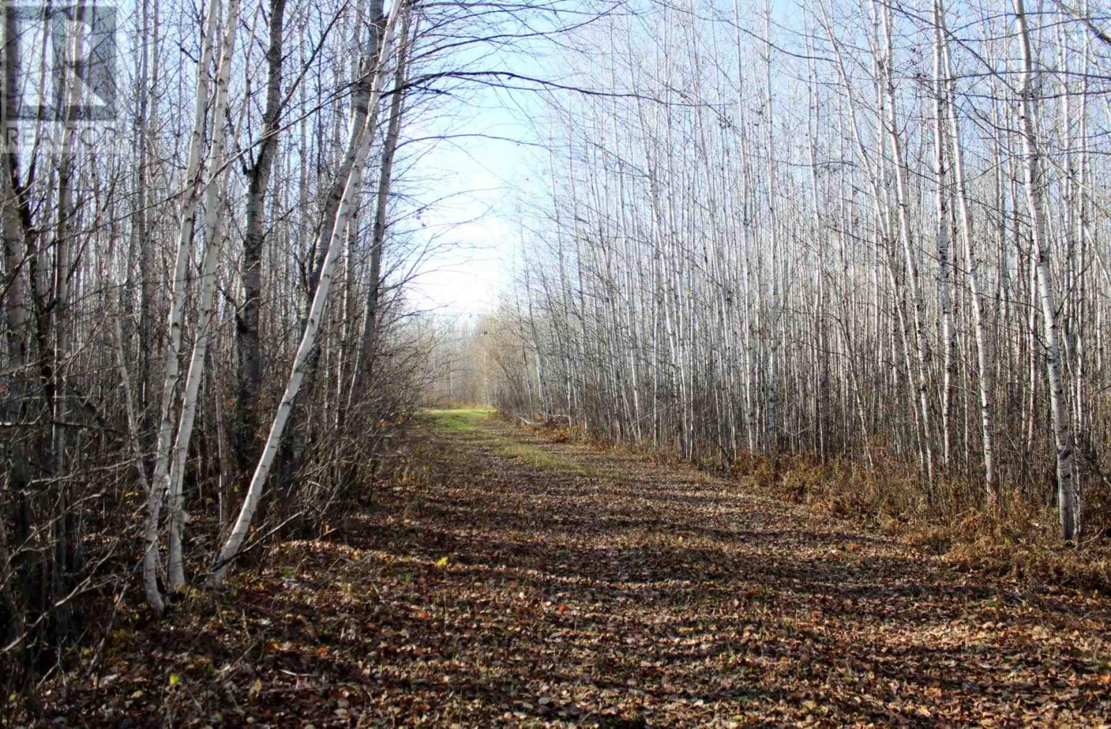 Pcl 14743 Hwy 600, Bergland, Ontario  P0W 1J0 - Photo 37 - TB252350