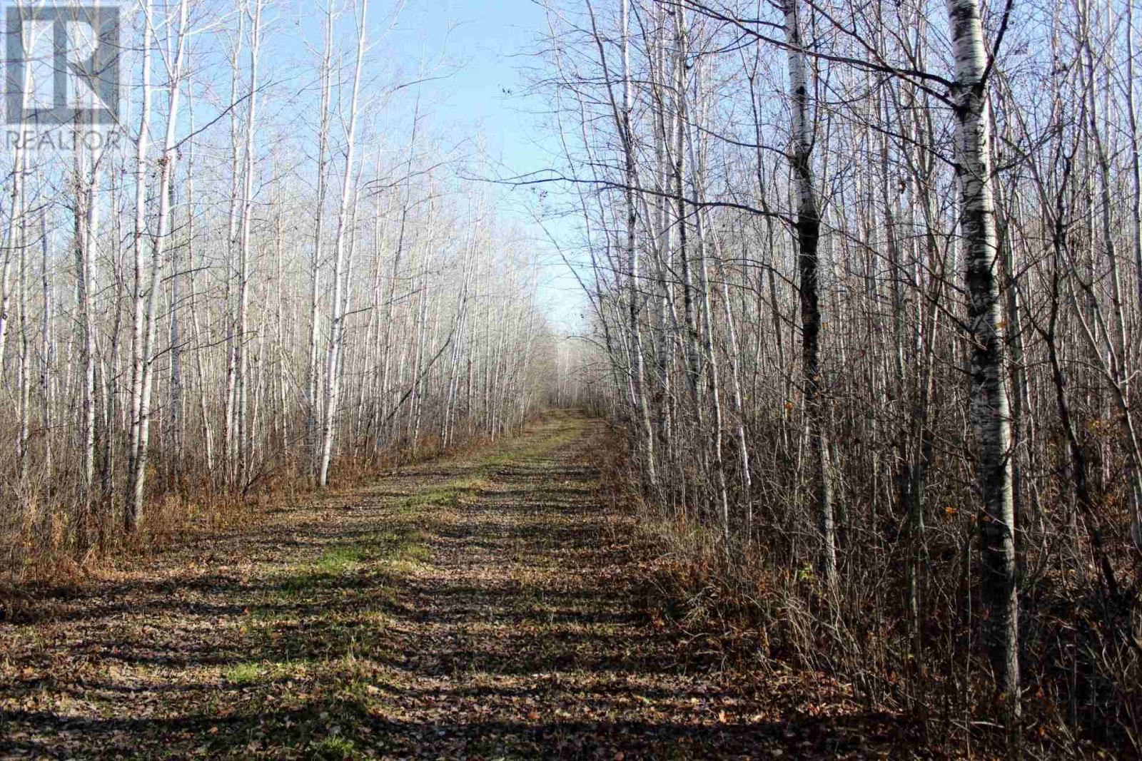 Pcl 14743 Hwy 600, Bergland, Ontario  P0W 1J0 - Photo 36 - TB252350