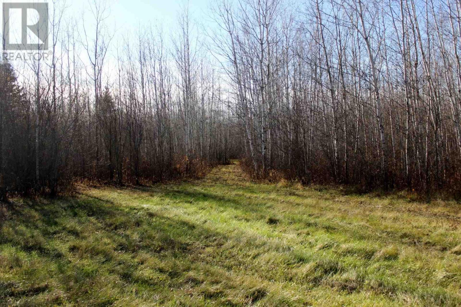 Pcl 14743 Hwy 600, Bergland, Ontario  P0W 1J0 - Photo 34 - TB252350