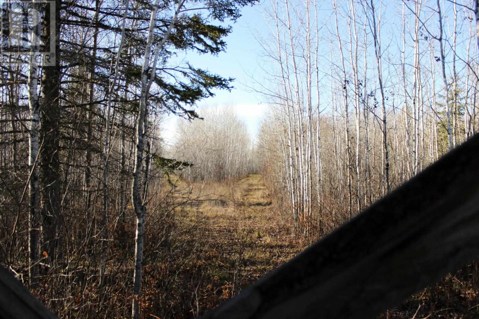 Pcl 14743 Hwy 600, Bergland, Ontario  P0W 1J0 - Photo 32 - TB252350