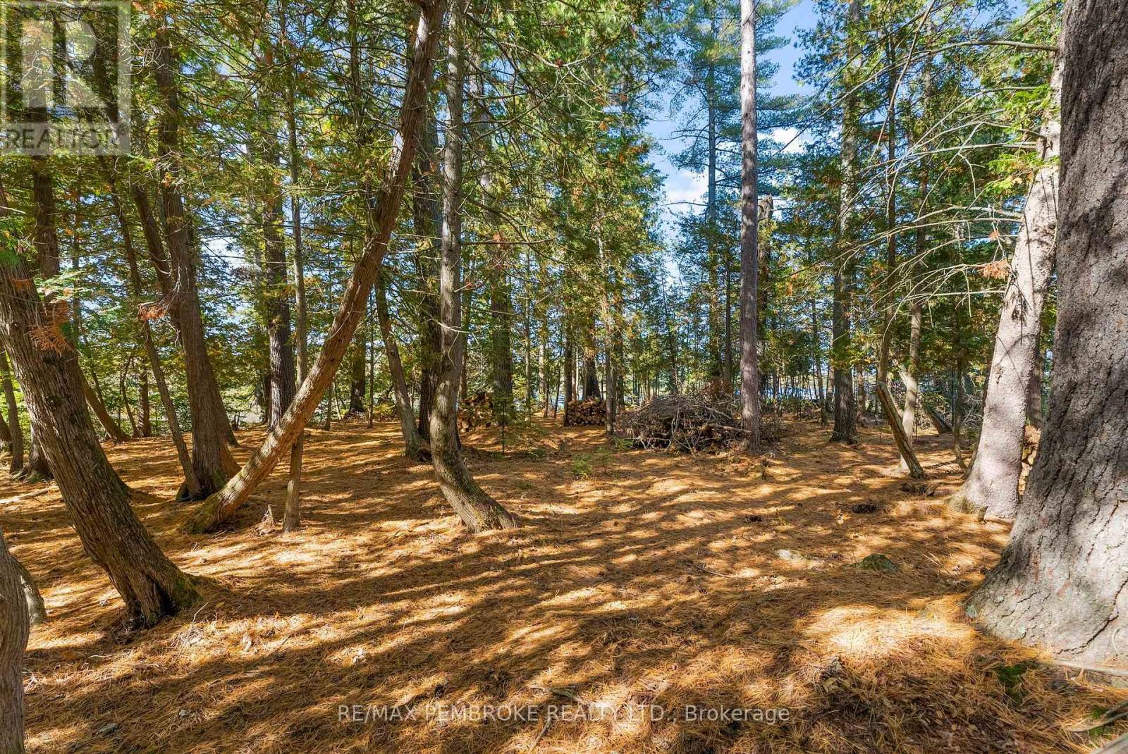 204b Hawkins Drive, Killaloe, Ontario  K0J 2A0 - Photo 47 - X12437840