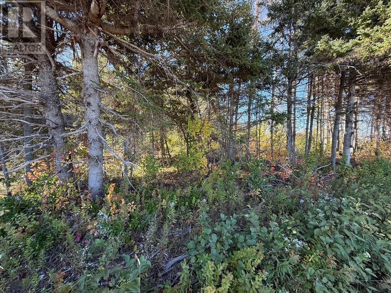 0 Rte 310, Howe Bay, Prince Edward Island  C0A 2B0 - Photo 8 - 202521595