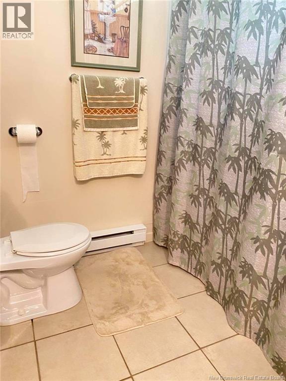 251 Tobique Road, Grand-Sault/grand Falls, New Brunswick  E3Y 1E8 - Photo 19 - NB127595