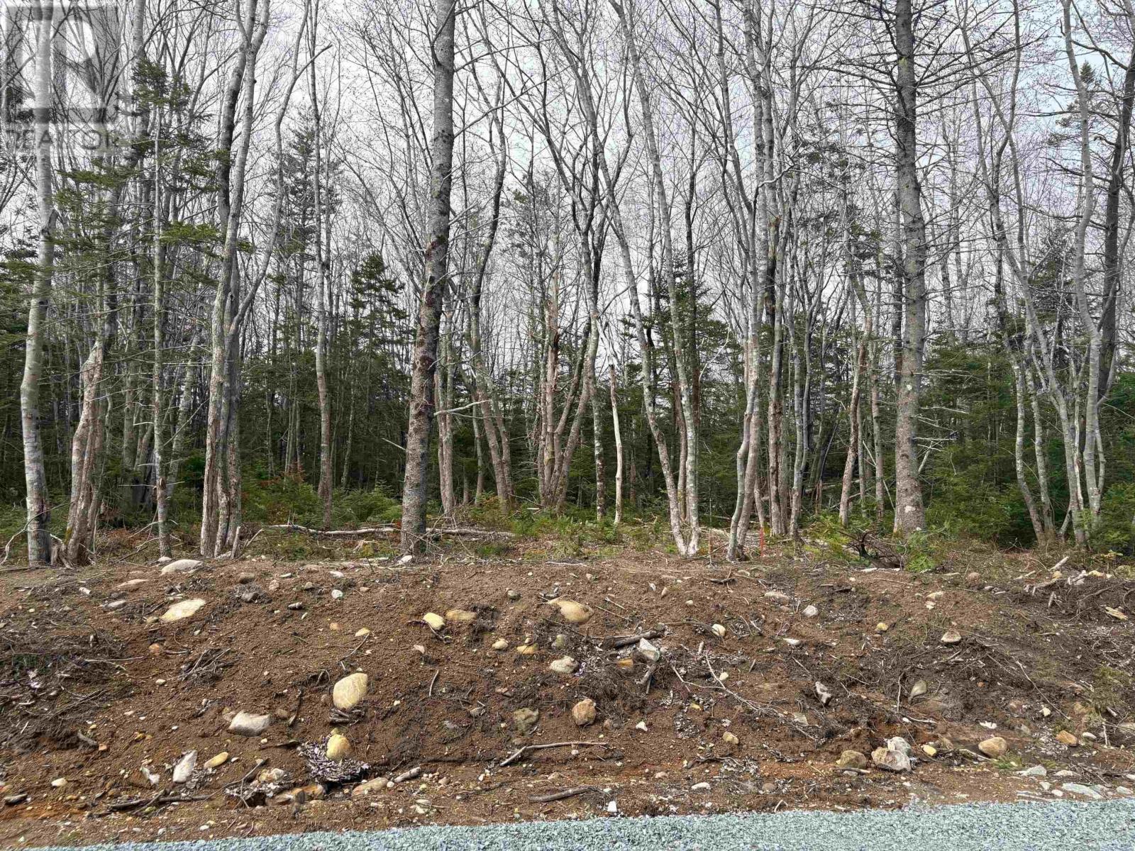 Lot 7 Larry Seldon Lane, Western Head, Nova Scotia  B0T 1K0 - Photo 1 - 202427652