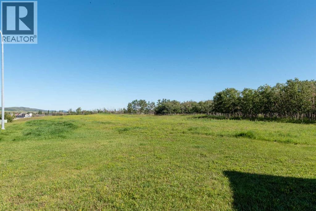 950 3 Street Sw, Diamond Valley, Alberta  T0L 0H0 - Photo 6 - A2255705