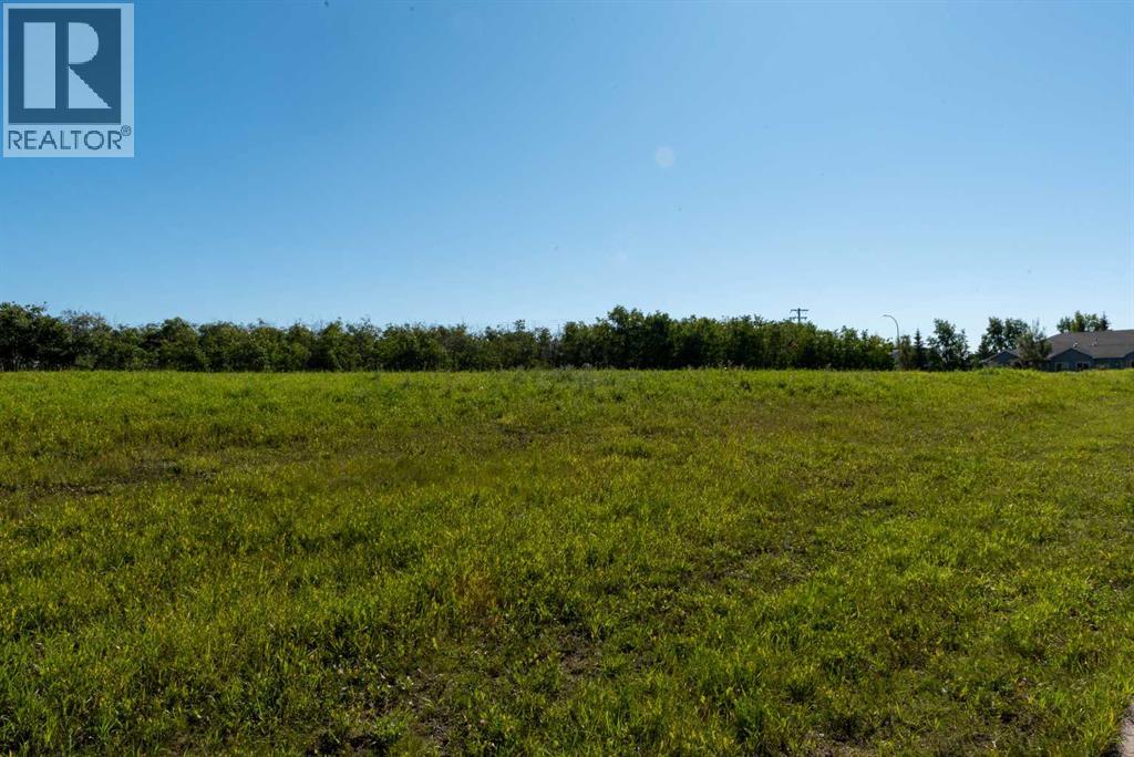 950 3 Street Sw, Diamond Valley, Alberta  T0L 0H0 - Photo 9 - A2255705