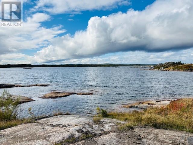 69 Pools Island Road, New Wes Valley, Newfoundland & Labrador  A0G 3P0 - Photo 3 - 1291089