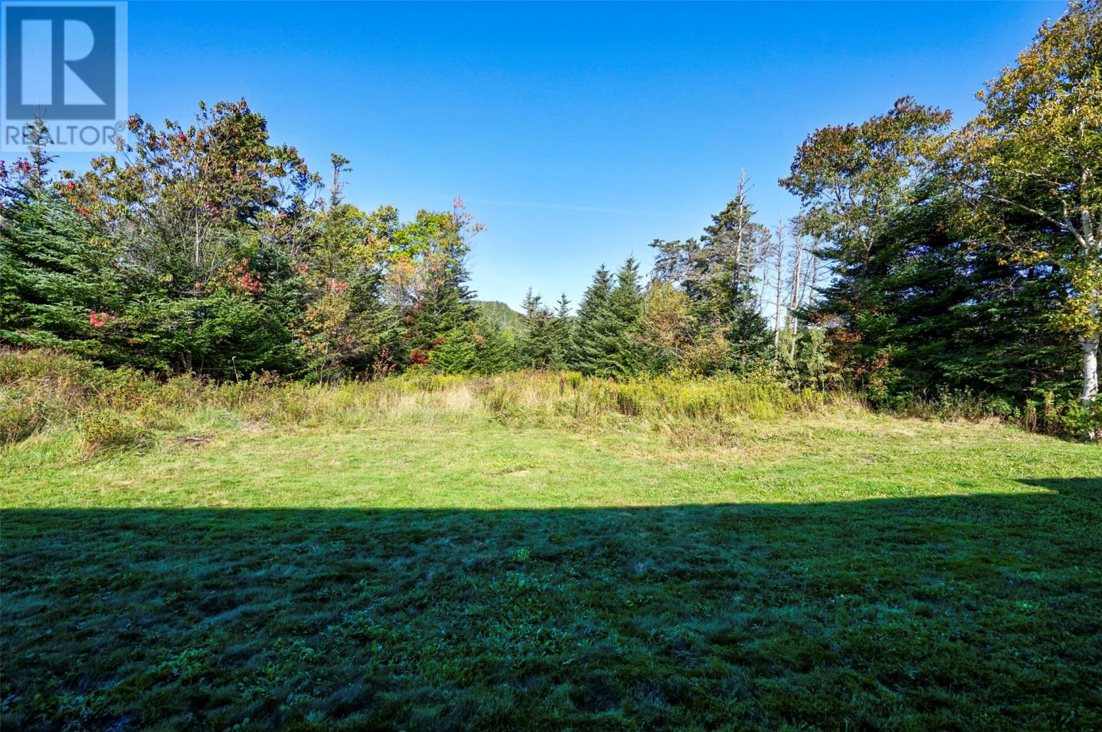 98 Shearstown Road, Bay Roberts, Newfoundland & Labrador  A0A 1G0 - Photo 14 - 1290945