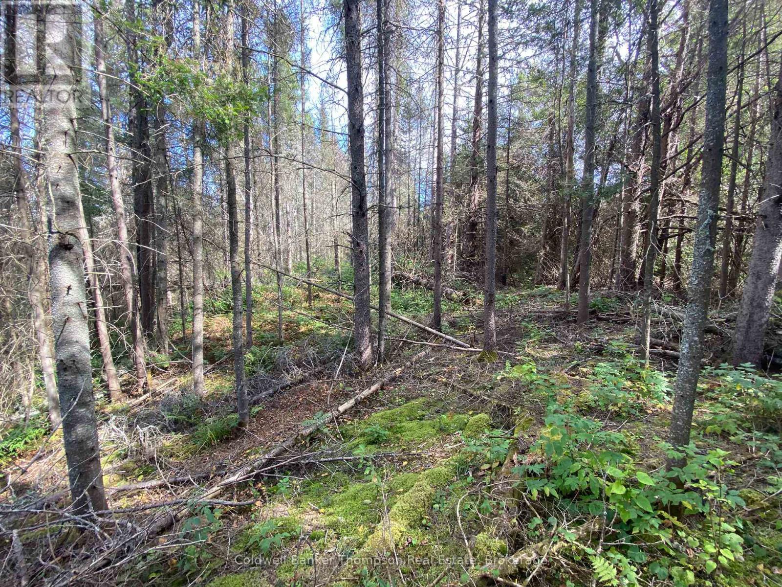 0 Municipal Road N, Machar, Ontario  P0A 1X0 - Photo 1 - X12437973