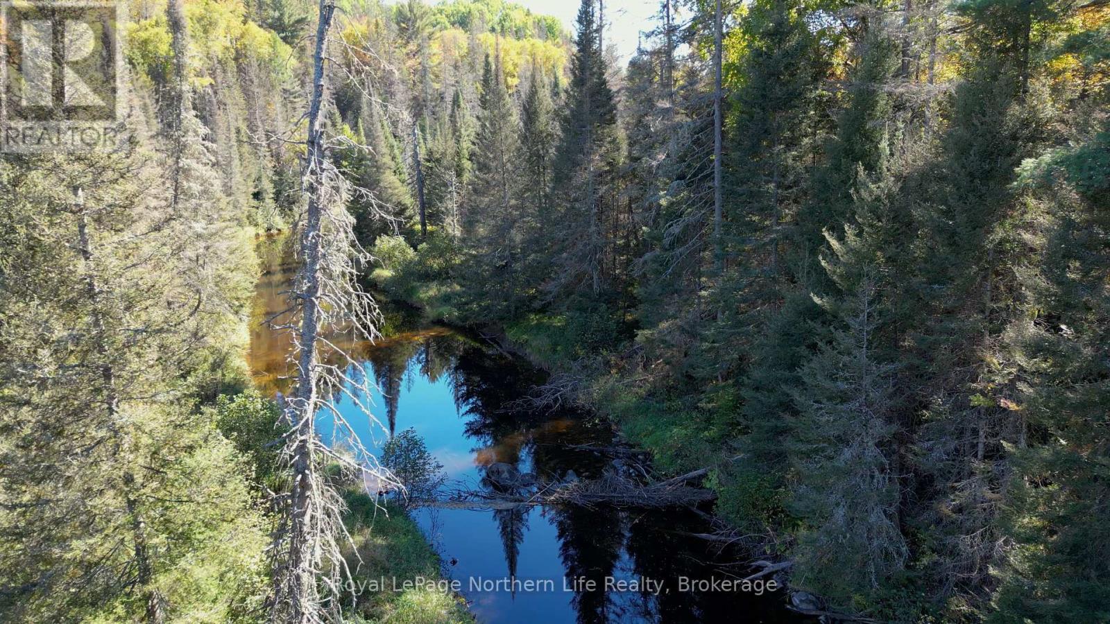 Pt Lt 5 Con 14 South Horn Lake Road, Armour, Ontario  P0A 1C0 - Photo 11 - X12438006