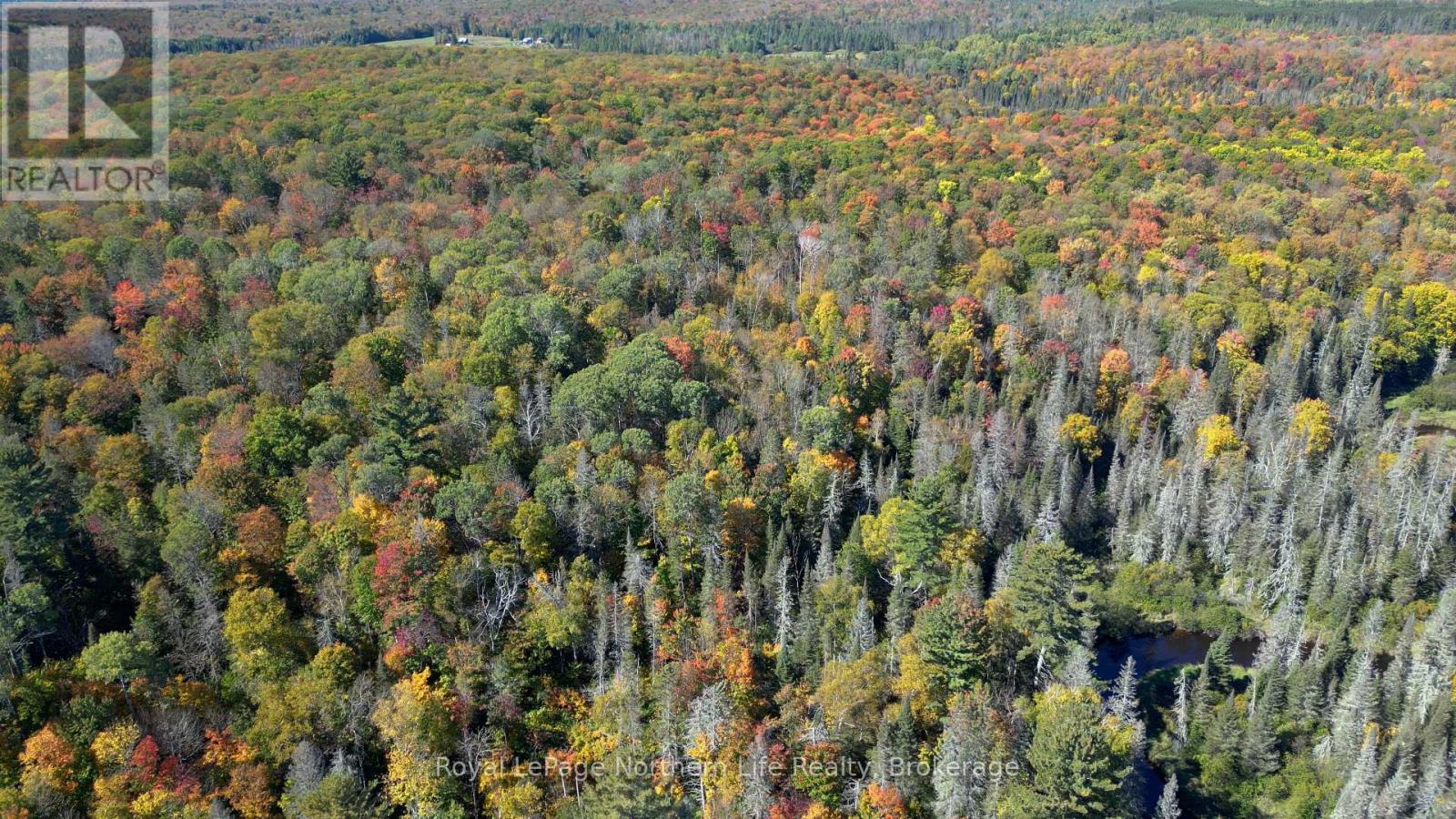 Pt Lt 5 Con 14 South Horn Lake Road, Armour, Ontario  P0A 1C0 - Photo 2 - X12438006