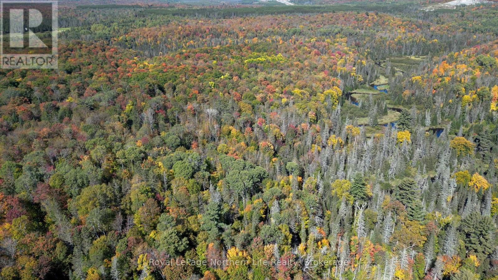 Pt Lt 5 Con 14 South Horn Lake Road, Armour, Ontario  P0A 1C0 - Photo 3 - X12438006