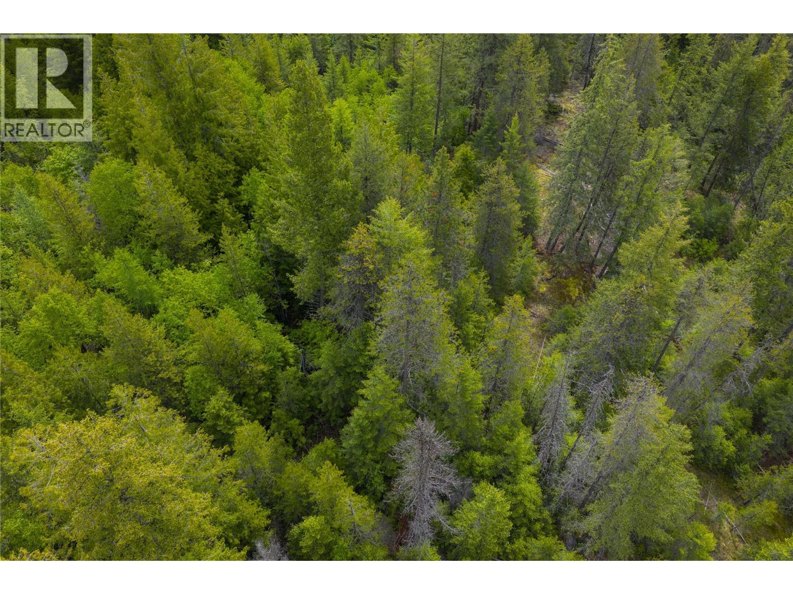 1682 Circle Road, Castlegar, British Columbia  V1N 4W1 - Photo 25 - 10349180