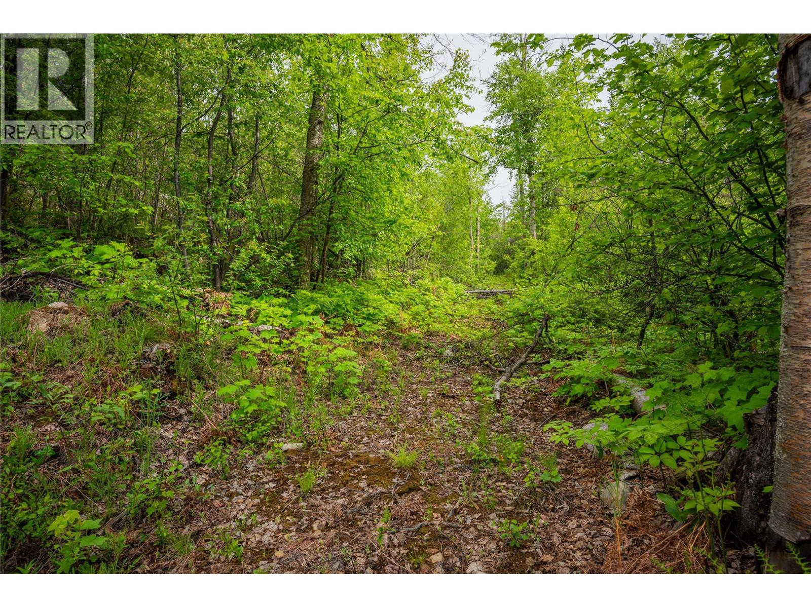 1682 Circle Road, Castlegar, British Columbia  V1N 4W1 - Photo 12 - 10349180