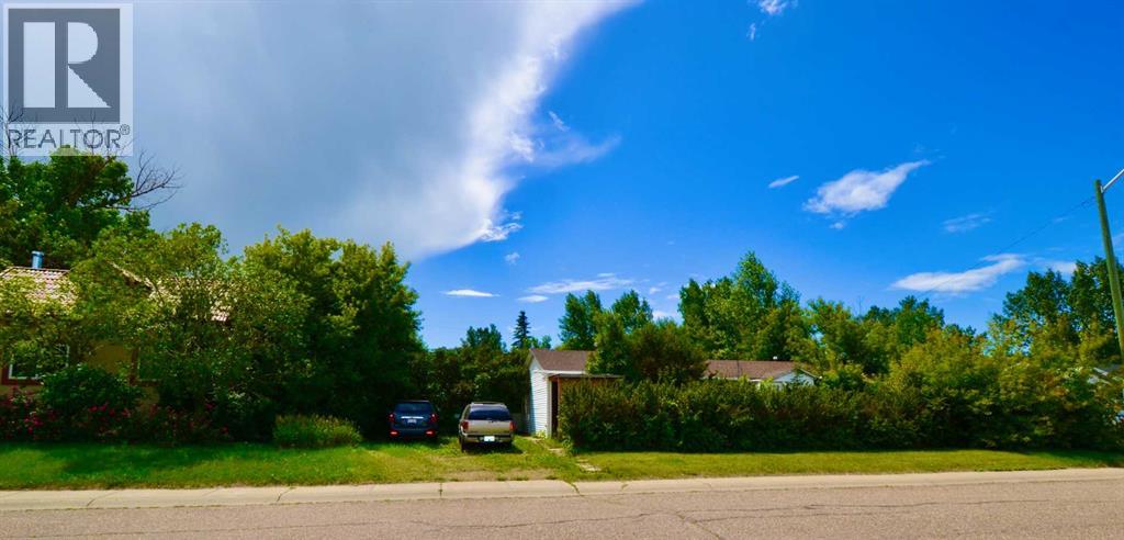 323 3 Street, Irricana, Alberta  T0M 1B0 - Photo 1 - A2237434