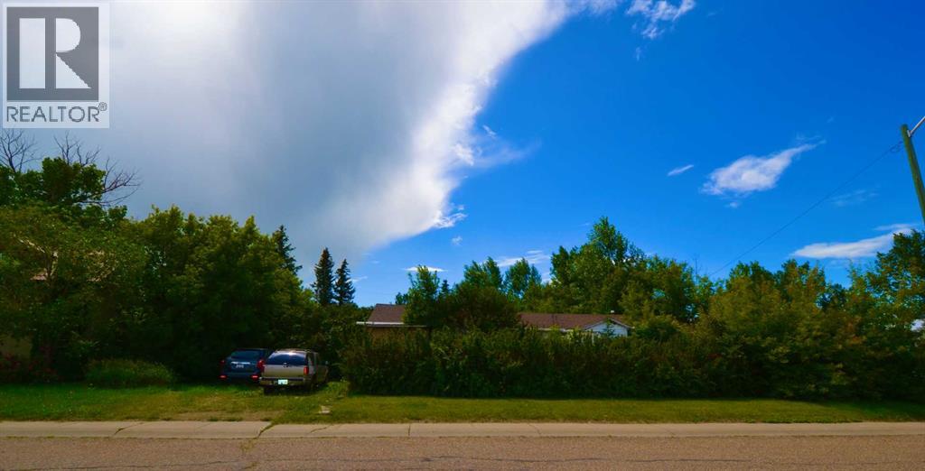 323 3 Street, Irricana, Alberta  T0M 1B0 - Photo 2 - A2237434