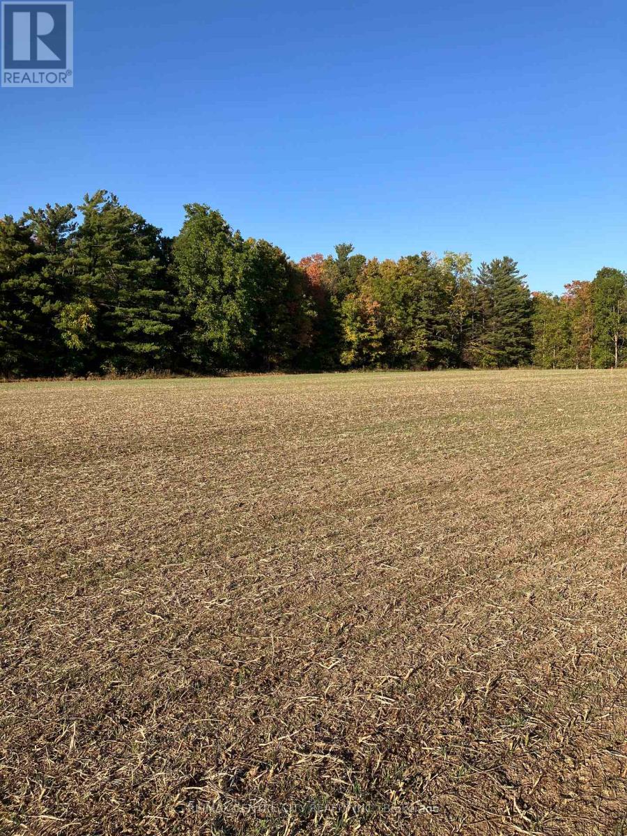 Ptlot26 Prince William Street, North Middlesex, Ontario  N0M 2J0 - Photo 1 - X12424315