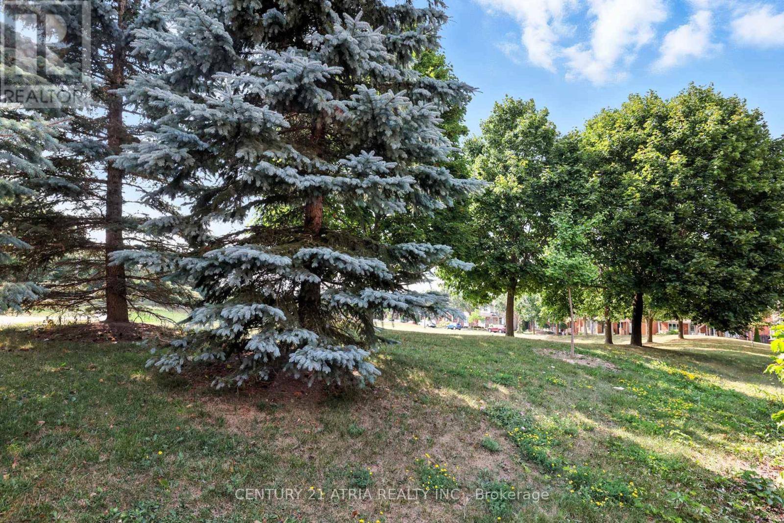 12 Stiles Avenue, Aurora, Ontario  L4G 7N3 - Photo 26 - N12437691