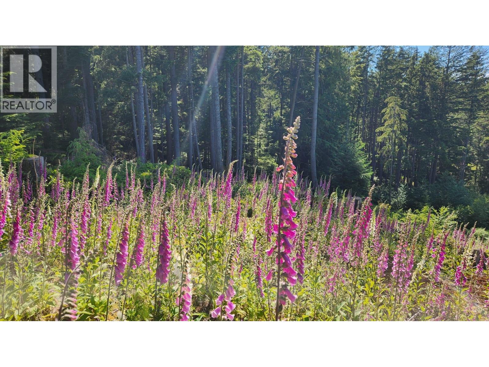 2060 CAPE DRIVE, Bowen Island, British Columbia