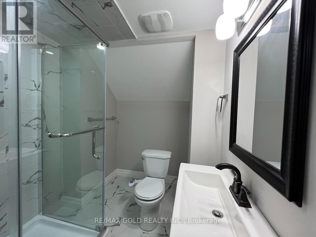 Basement - 140 Finegan Circle, Brampton, Ontario  L7A 0B7 - Photo 6 - W12437974