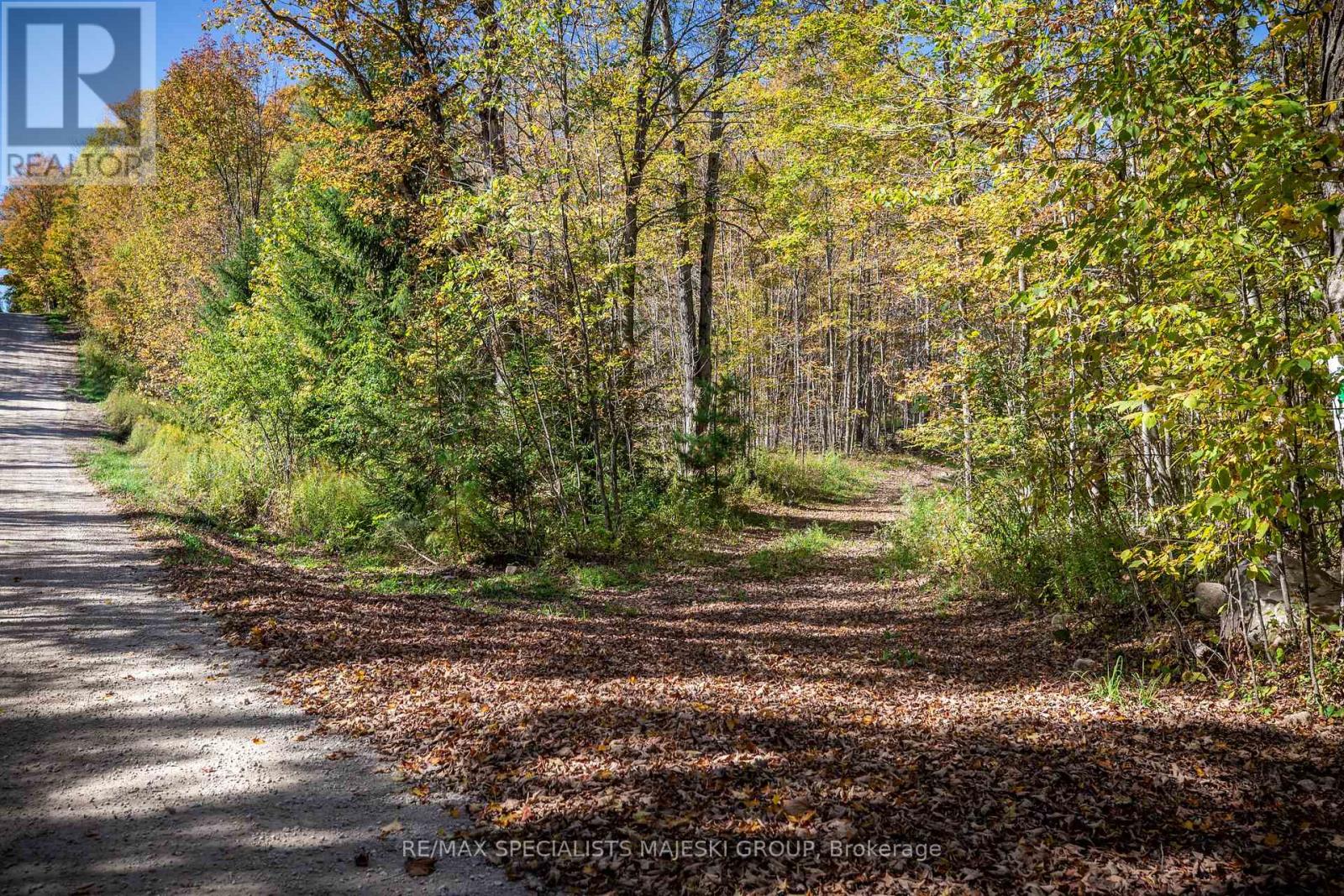 Lot 3 Concession 8, West Grey, Ontario  N0C 1H0 - Photo 28 - X12437940