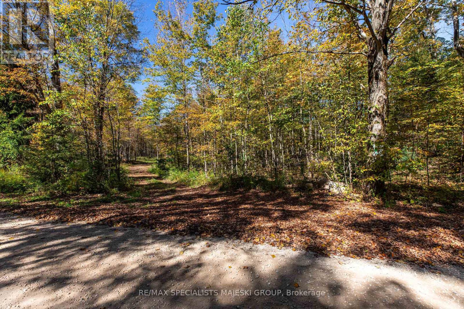 Lot 3 Concession 8, West Grey, Ontario  N0C 1H0 - Photo 29 - X12437940