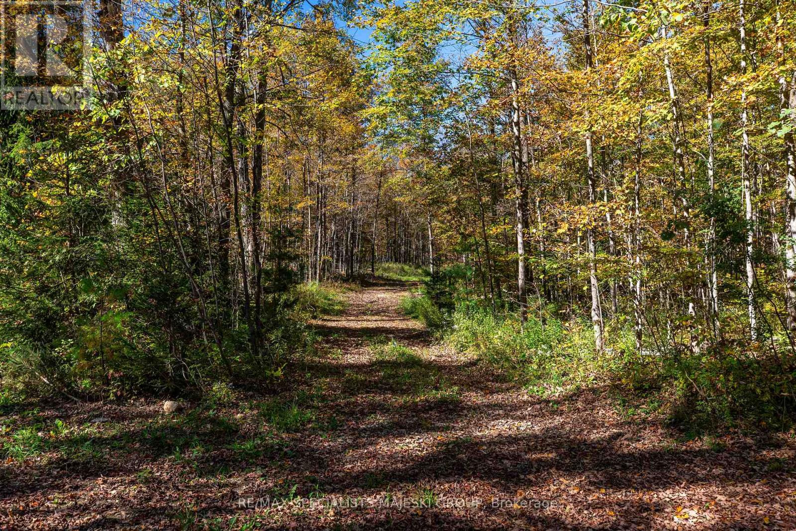 Lot 3 Concession 8, West Grey, Ontario  N0C 1H0 - Photo 30 - X12437940
