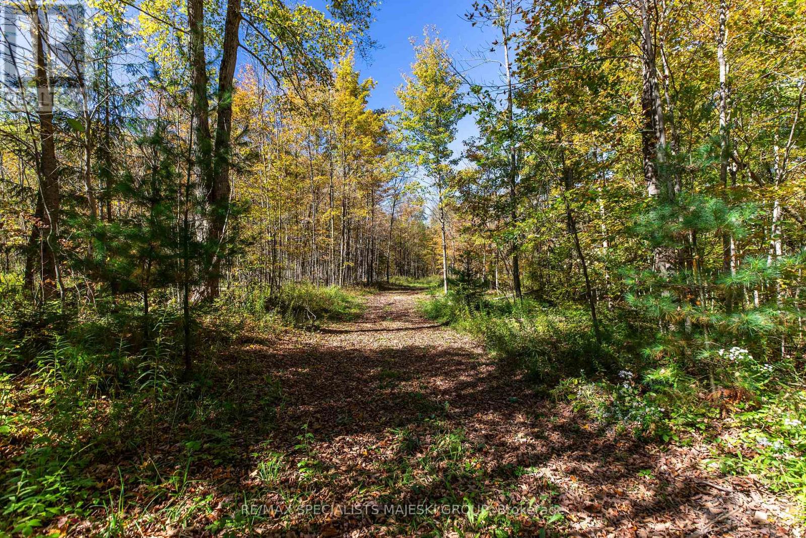 Lot 3 Concession 8, West Grey, Ontario  N0C 1H0 - Photo 31 - X12437940