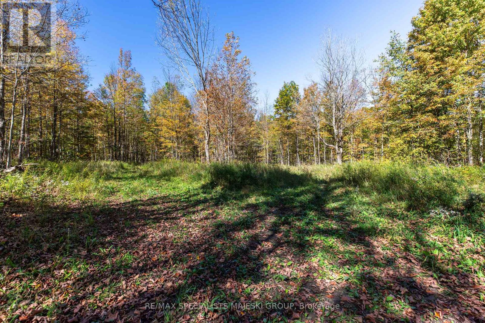 Lot 3 Concession 8, West Grey, Ontario  N0C 1H0 - Photo 32 - X12437940