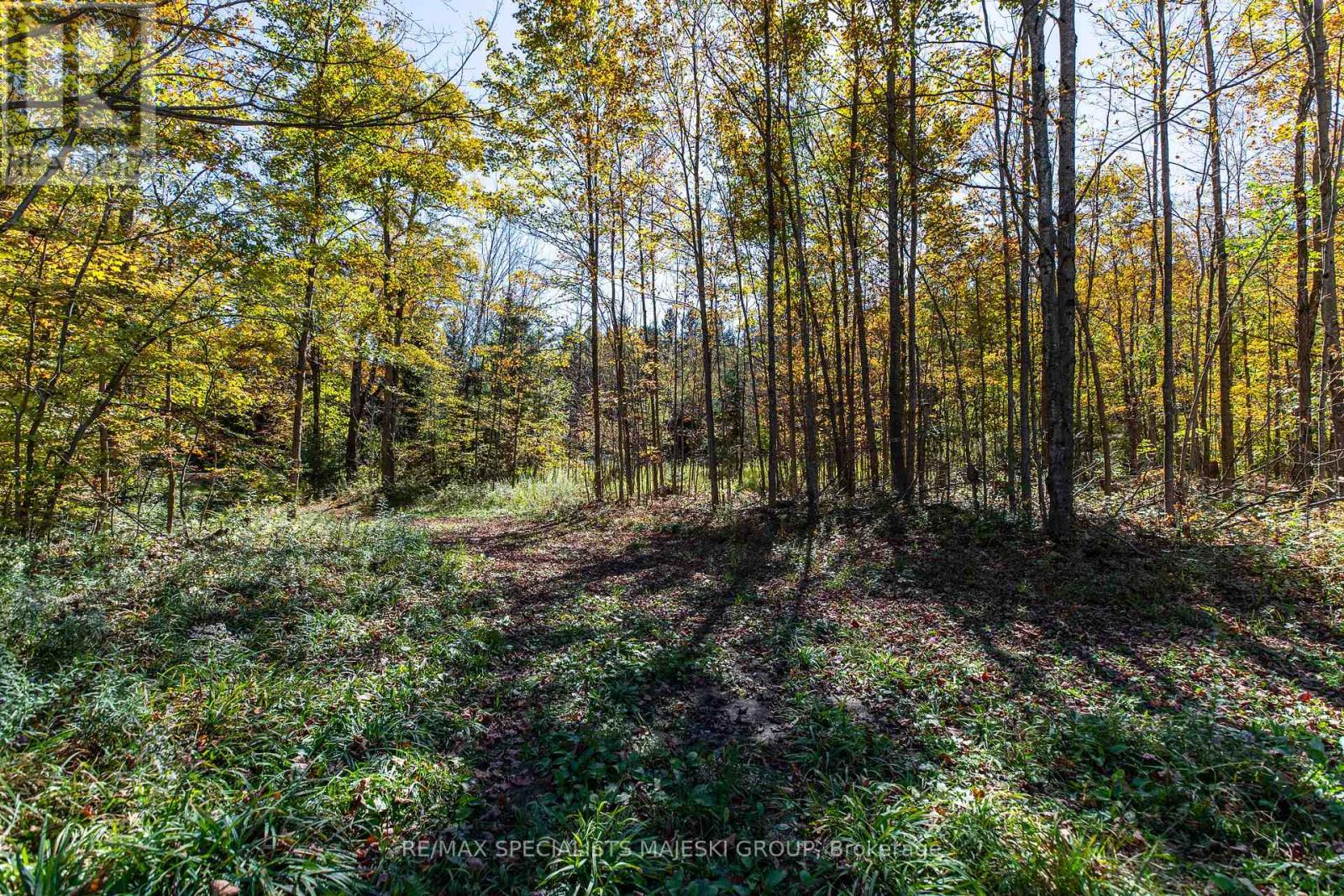 Lot 3 Concession 8, West Grey, Ontario  N0C 1H0 - Photo 33 - X12437940
