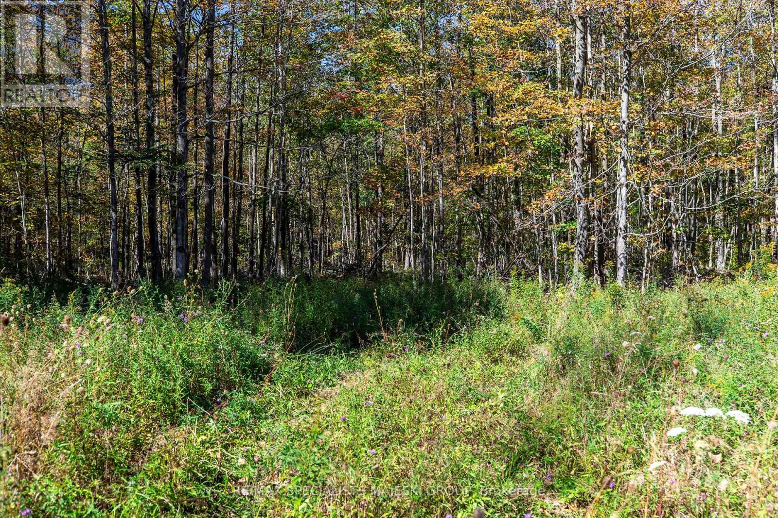 Lot 3 Concession 8, West Grey, Ontario  N0C 1H0 - Photo 34 - X12437940