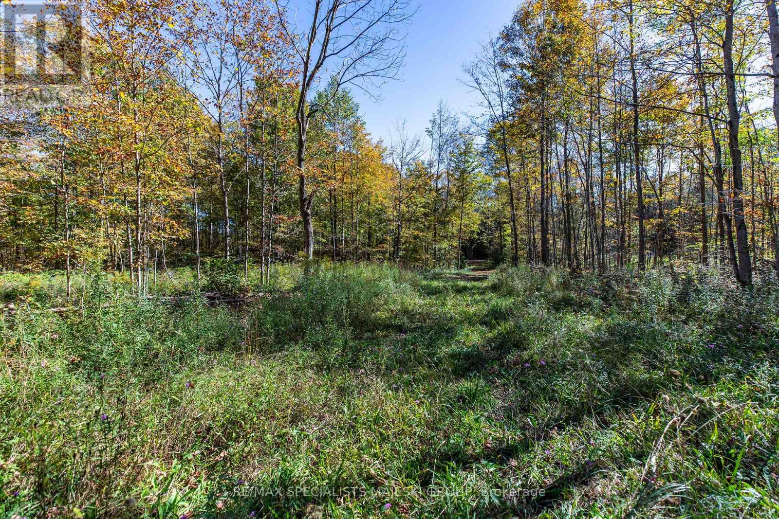 Lot 3 Concession 8, West Grey, Ontario  N0C 1H0 - Photo 35 - X12437940